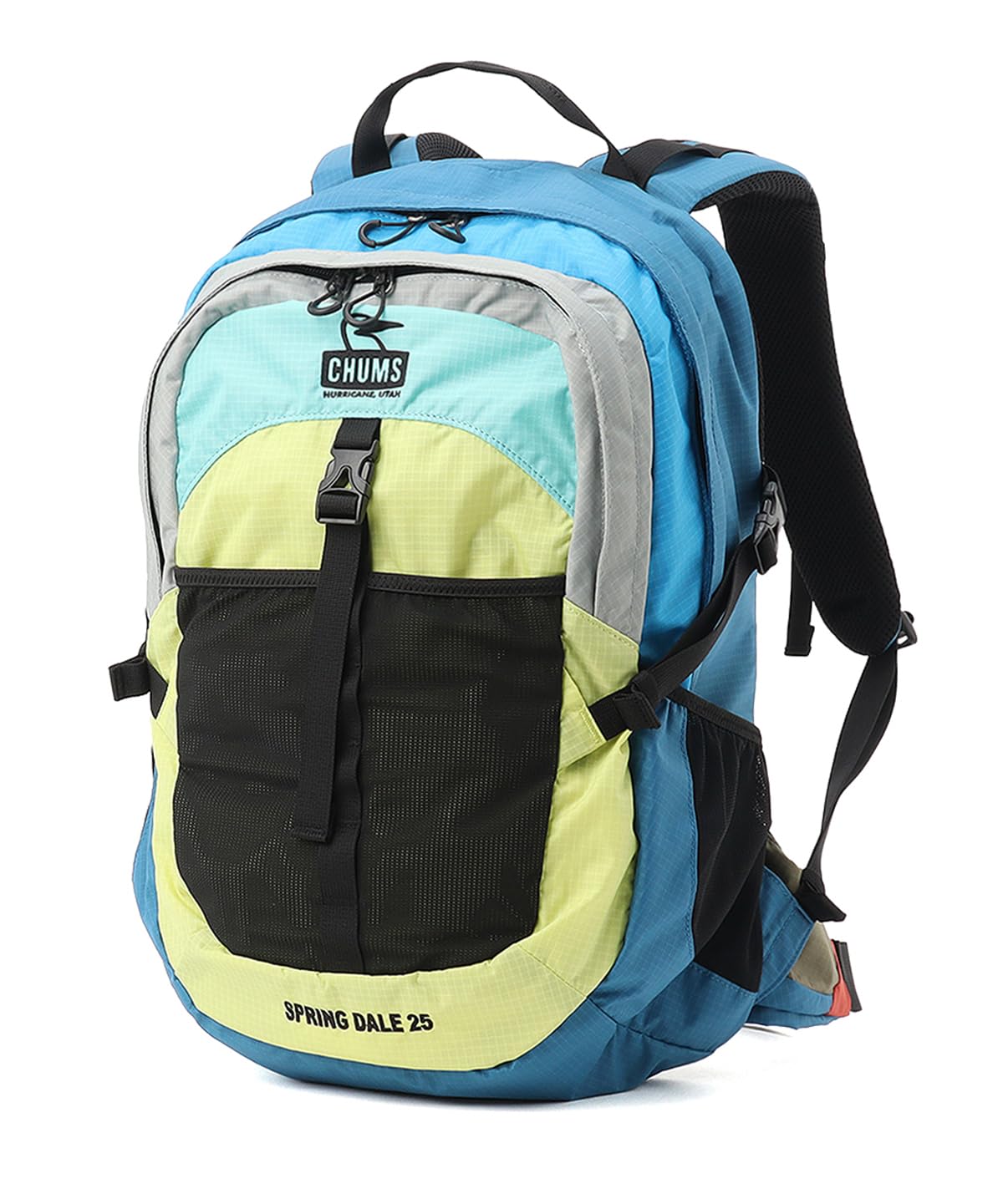 Amazon.co.jp: [チャムス] スプリングデール 25 Spring Dale 25 