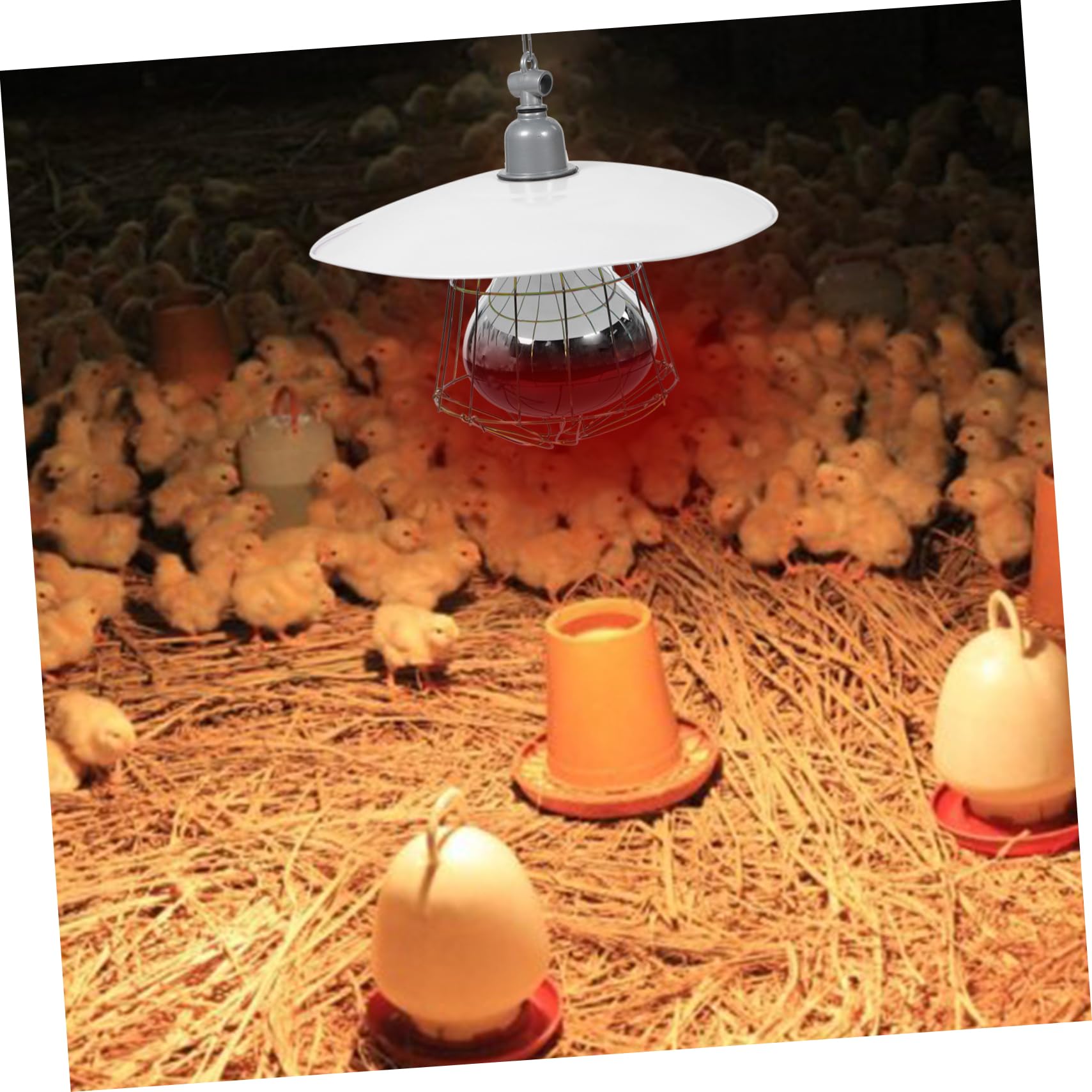 Gatuida Lampada Riscaldante Per Gabbie Per Bestiame e Rettili 250w in Metallo Copertura in Rete, Luce Calda Efficiente Per Animali Domestici e Allevamenti, Facile Installazione e Durata Elevata