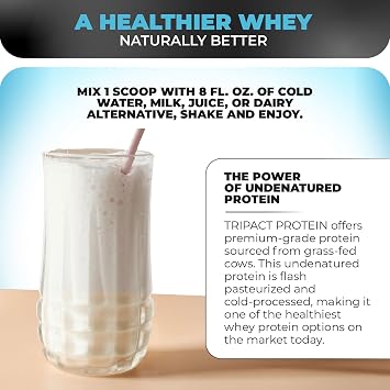 Nutrology TRIPACT Protein Powder - 7-in-1 Meal Replacement Shake with Grass Fed Whey Protein Powder, Pea, Rice, Greens for Muscle Recovery & Immunity, Vanilla Latte & Cinnamon Flavor, 20 Servings