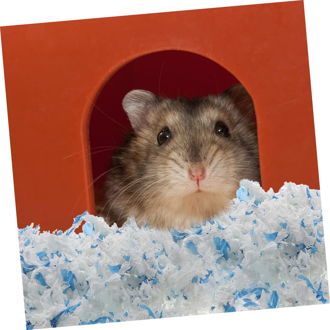BESPORTBLE 2 Stück 2 Haustierbettwäsche Rennmaus Bettwäsche Einstreu für Kleintiere Kleintier Einstreu Hamster einstreu Rattenbettwäsche für den Innenbereich Einstreumaterial für Igel Papier