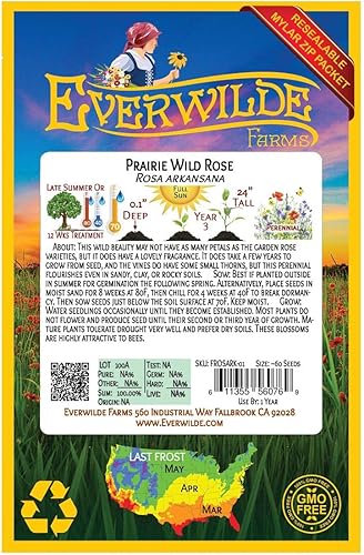 Miniatura 2 de Everwilde Farms - 60 semillas de flores silvestres nativas de rosa silvestre de la pradera - Paquete de semillas jumbo Gold Vault