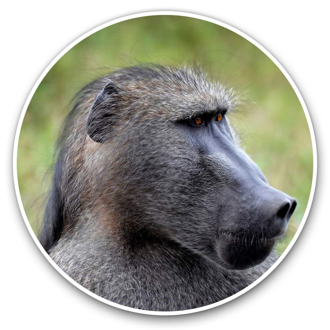 Destination Vinyl Ltd Wild Baboon Monkey 16478 Vinyl Stickers (Set Of 2) 7.5Cm - Wild Baboon Monkey #16478