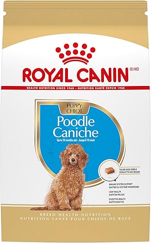 Royal Canin Breed Health Nutrition Poodle Puppy - Alimento seco para perros, bolsa de 2.5 libras