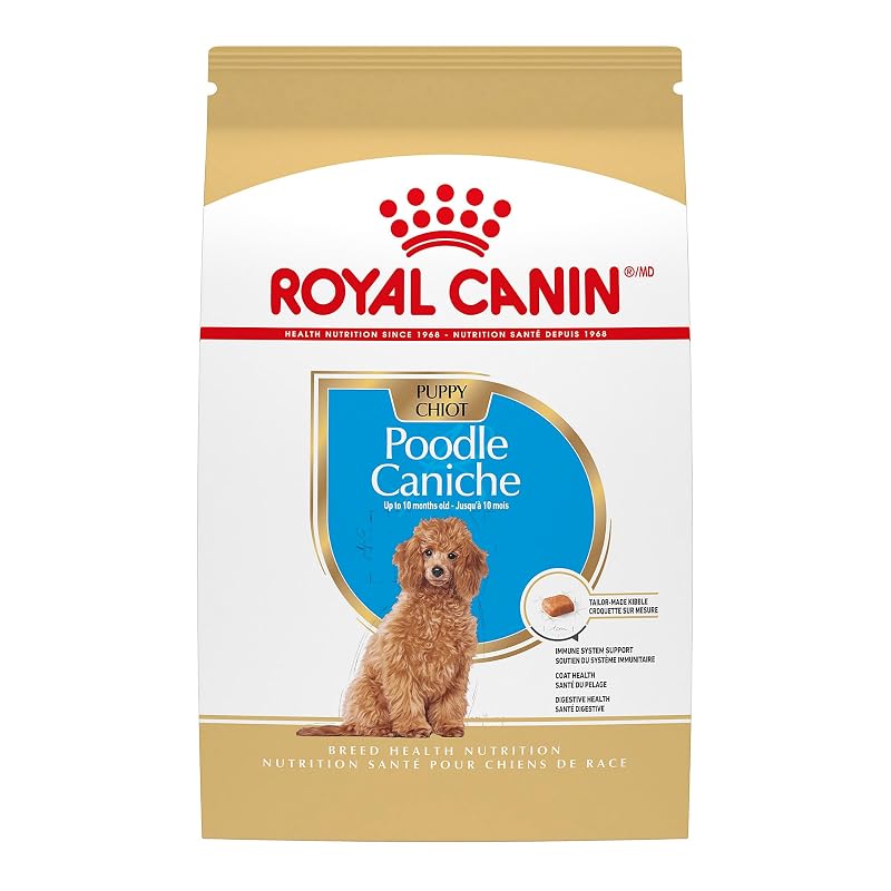 Ração seca para filhotes de Poodle ROYAL CANIN com EPA, DHA e vitamina E – 1,13 kg