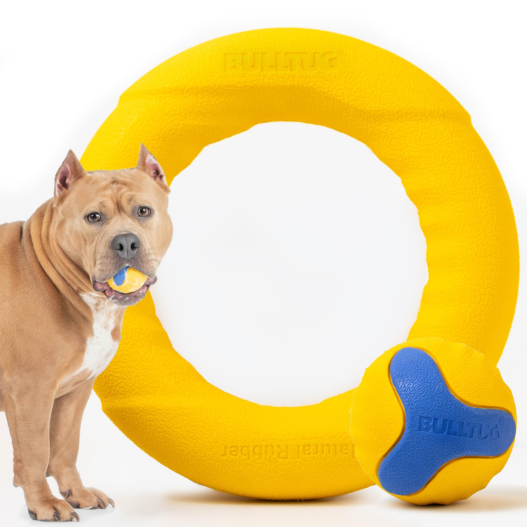 WERPOWER Power Duo - Fetch Toy Pack – Extremely Durable Chew Ring and Bouncy Ball. Designed for Aggressive Chewers and Tuggers – Su.