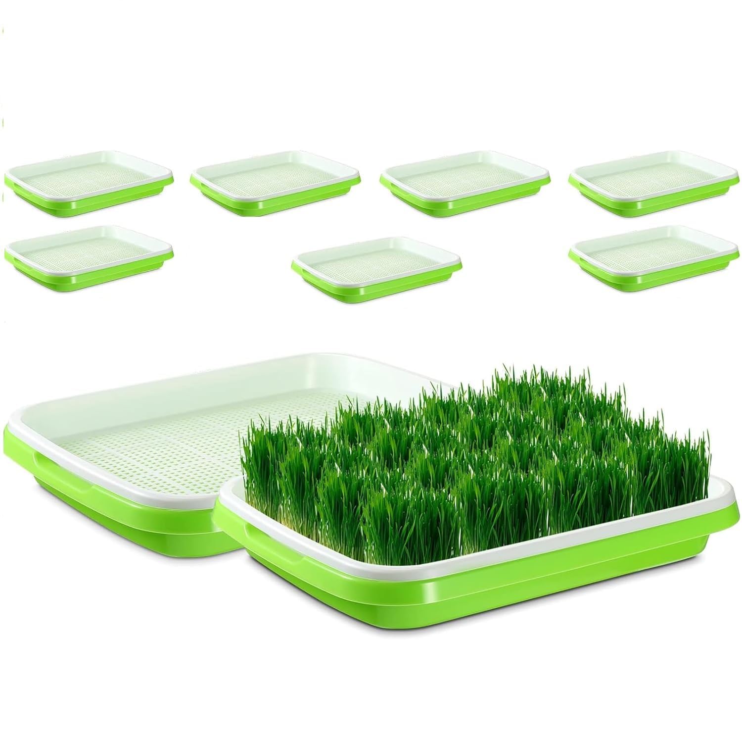 Kshavi - Seed Sprouter Tray with Drain Holes | BPA Free Nursery Seed Germination Tray Healthy Wheatgrass Seeds Grower & Storage Tray for Garden Home Office with Germinating Paper (Pack of 7) (B0CQTFKLNN) Amazon Price History, Amazon Price Tracker