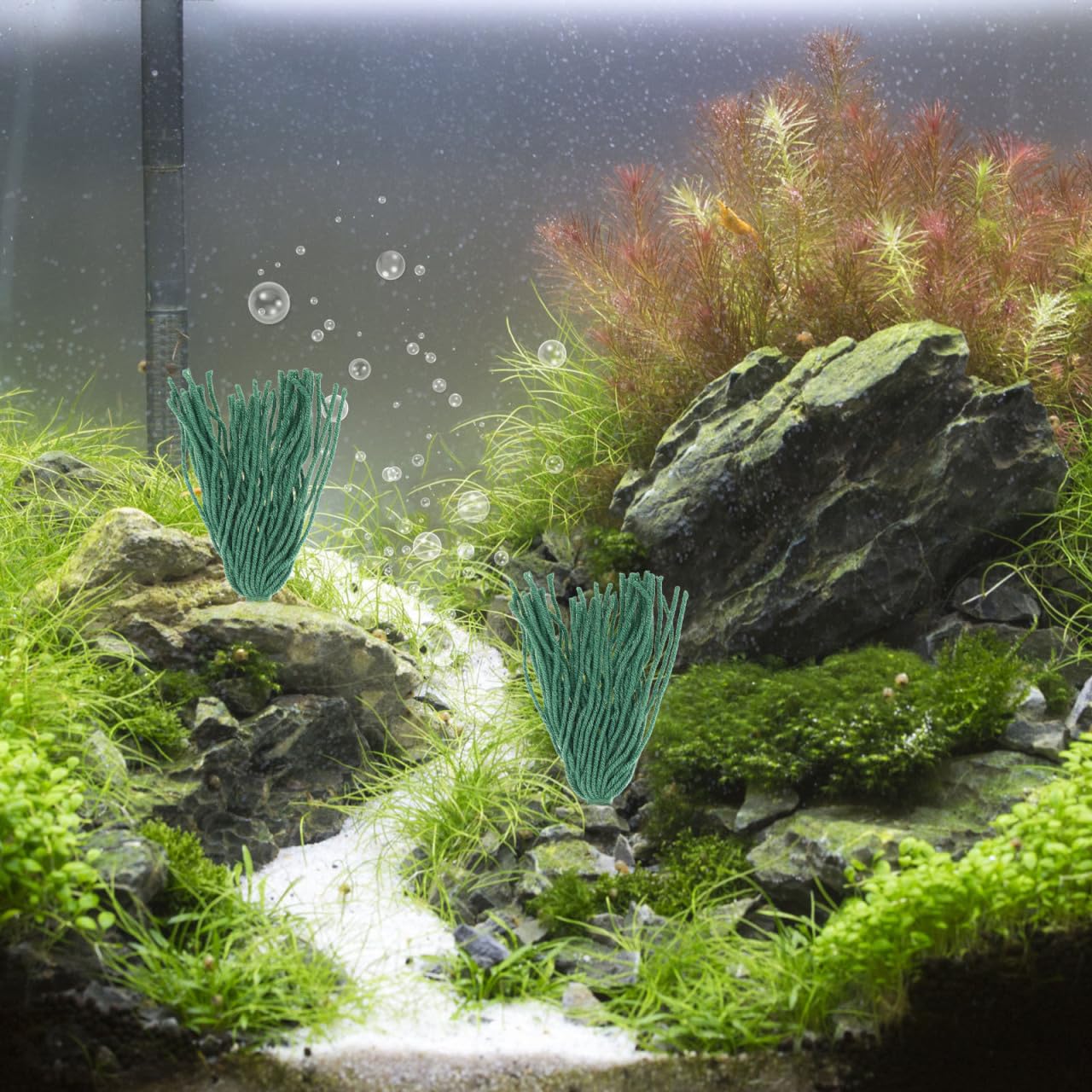 View 8
