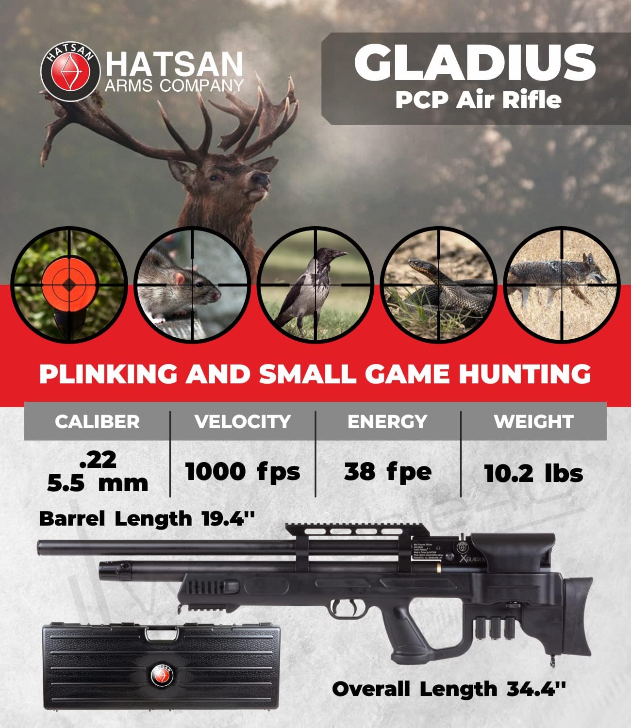 Gladius Air Rifle with Included Wearable4U 100x Paper Targets and Lead Pellets Bundle