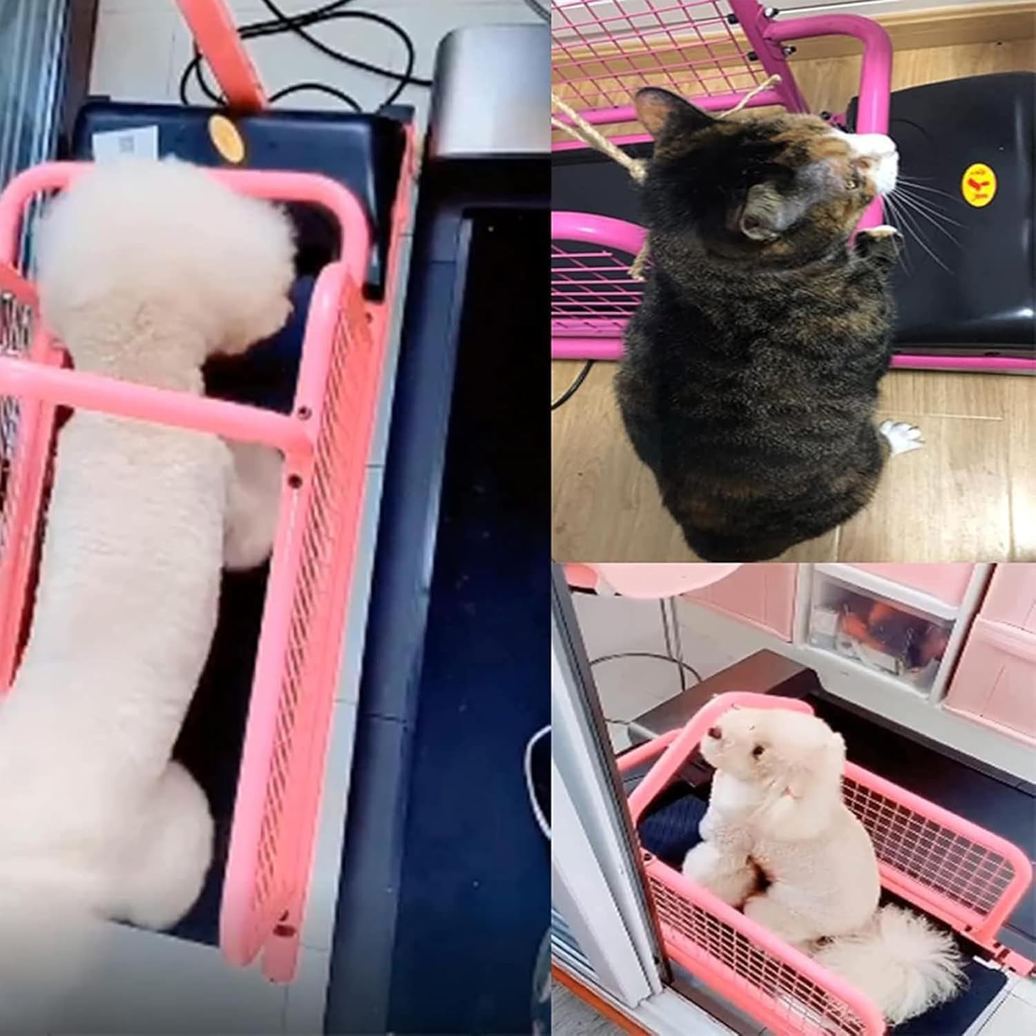 Cinta de Correr para Perros Grandes, Cinta de Correr para Mascotas, Ejercicio para Cachorros en Interiores, Equipo de Entrenamiento para Perros con una Carga máxima de 80 kg