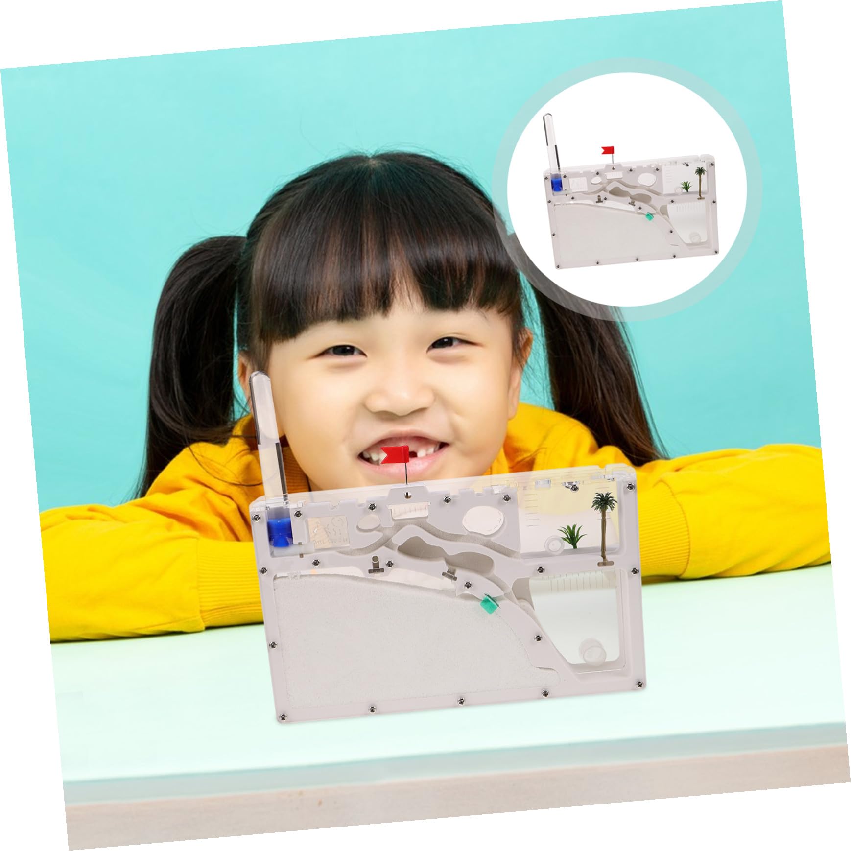 BESPORTBLE Juguetes Ecoeducativos para Exploración al Aire Kit de Terrario y Hormiguero Recinto para Insectos Caja de Observación para Educación y Aprendizaje Interiores