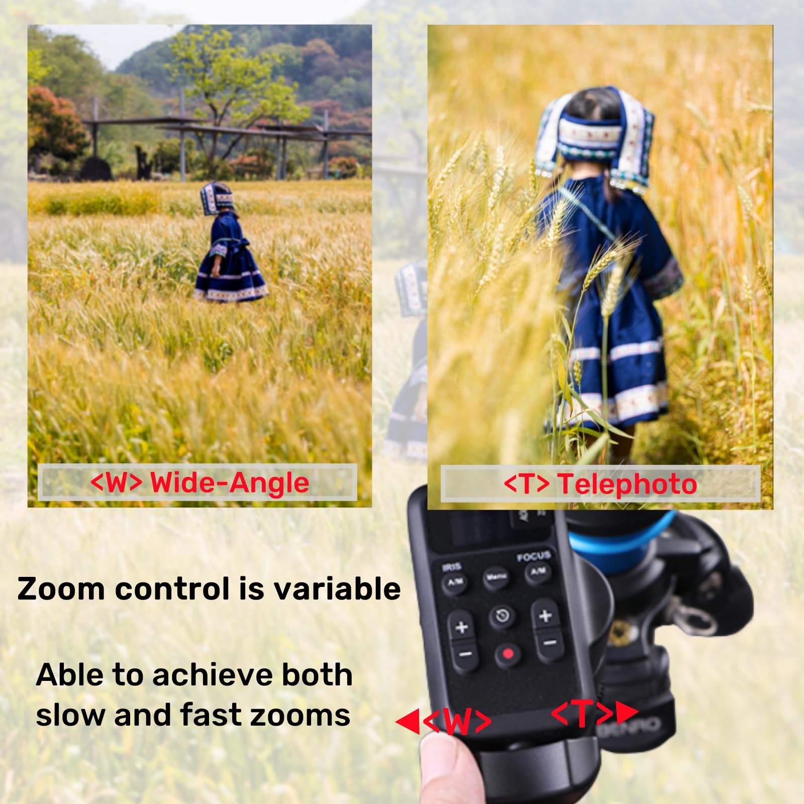PHOLSY Controller Remoto Wireless per Videocamera con LANC o Remoto da 2,5 mm, zoom video, messa a fuoco video, IRIS e Telecomando per Registrazione video Compatibile con Canon Sony Videocamere