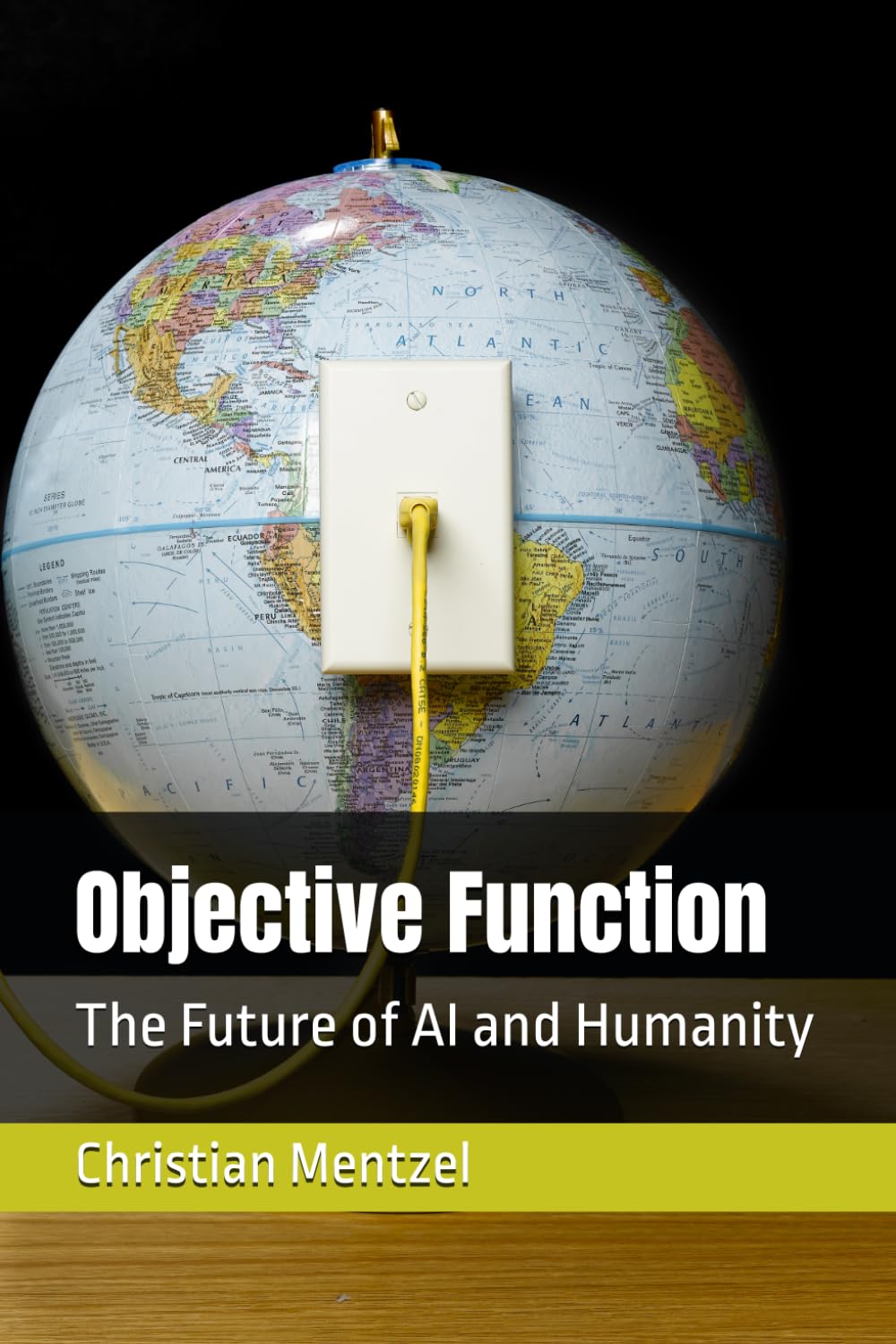 Objective Function: The Future of AI and Humanity