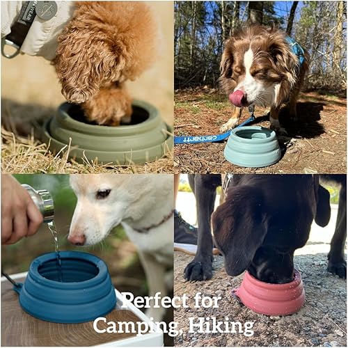 Miniatura 6 de OHMO Cuenco de agua plegable a prueba de derrames, 24 onzas para autos, cuencos portátiles antisalpicaduras para viajes de perros, artículos