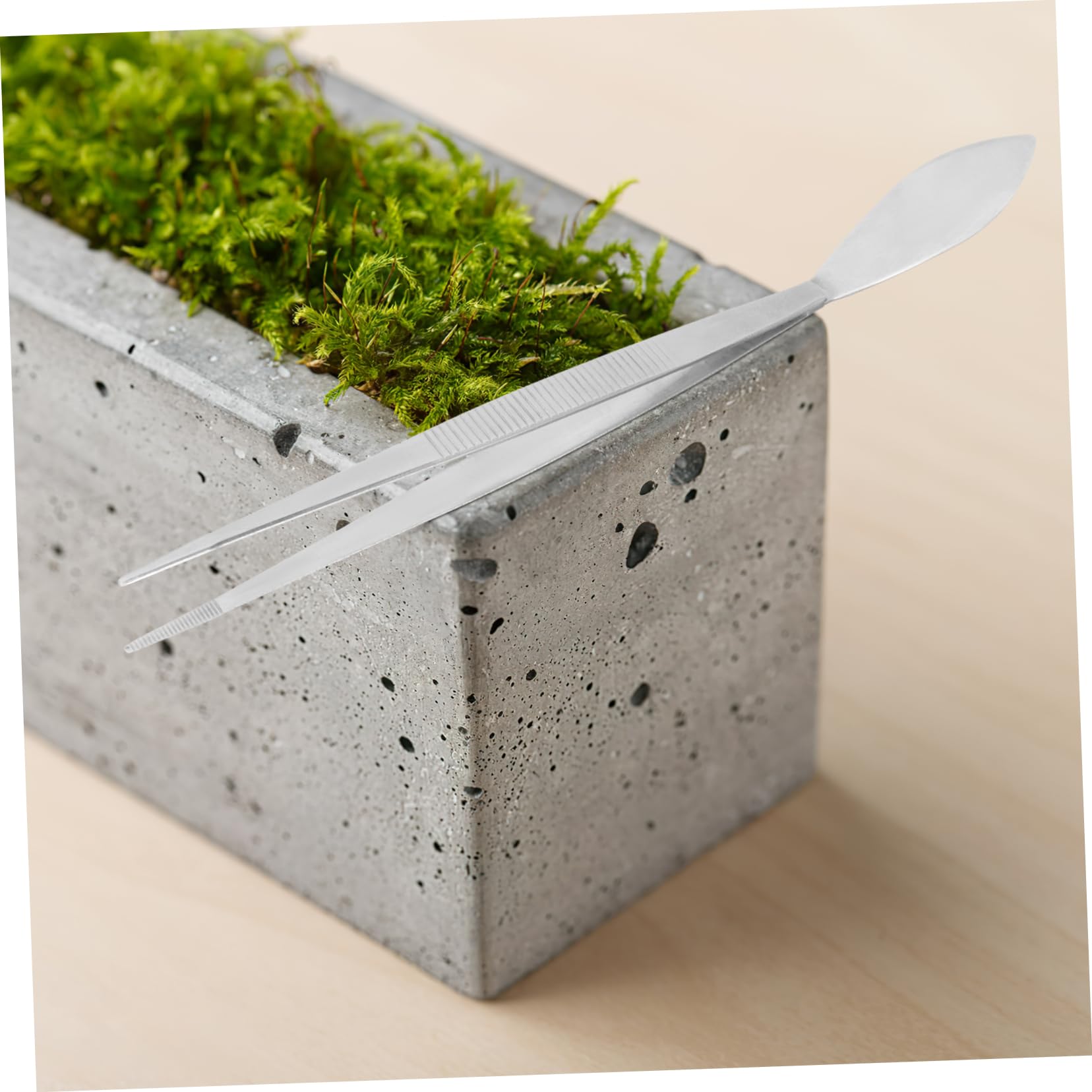Abaodam Bonsai Tool Tweezers and Spatula for Moss Maintenance Ergonomic Design for Easy Handling for Plant Care and Bonsai Crafting