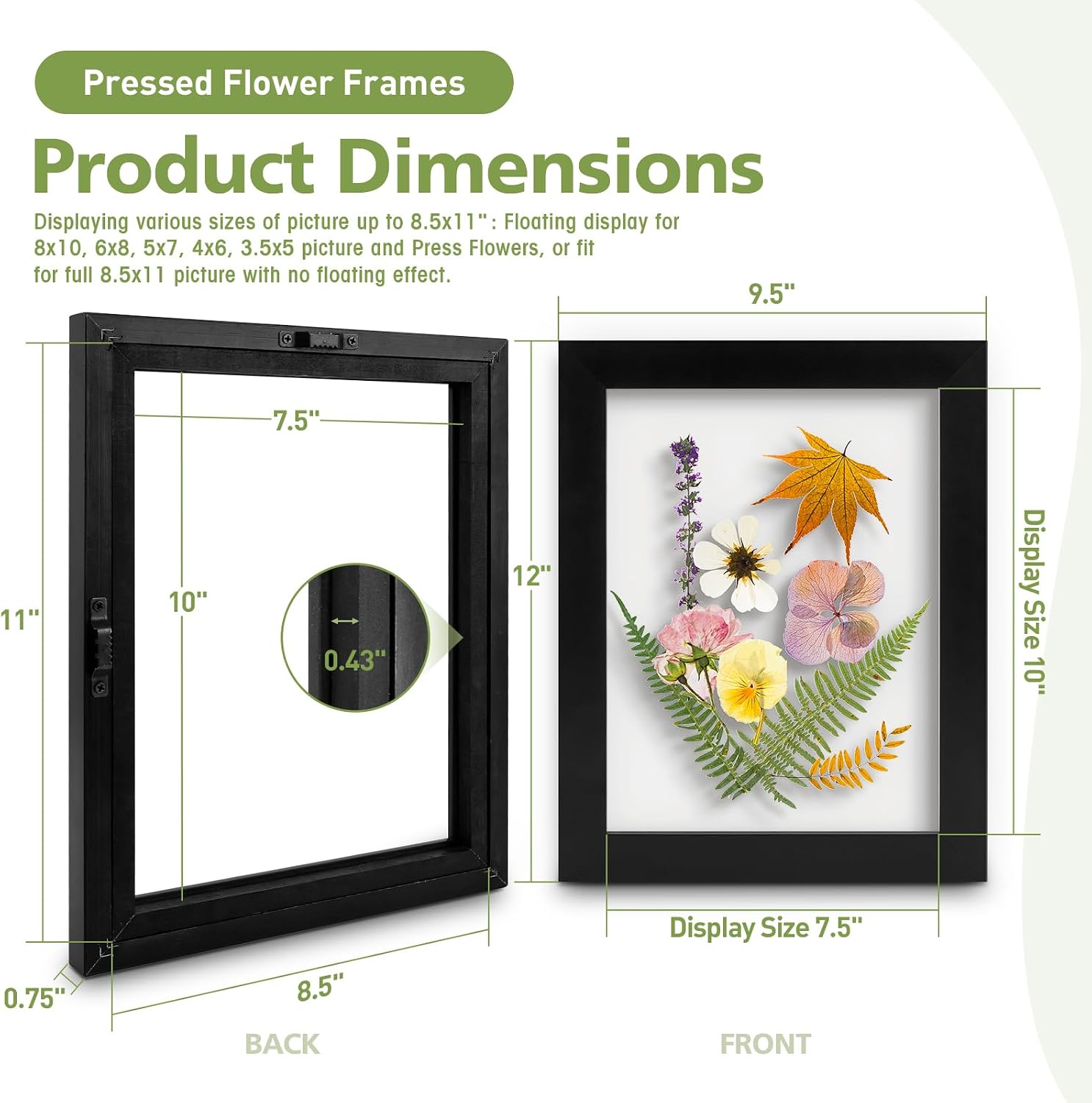 Golden State Art, 8.5X11 Floating Picture Frame, Black Wood Frame Display Any Size Photo Up To 8.5X11, Pressed Flower Frames with Hanging Hardware - Horizontal And Vertical Formats for Wall