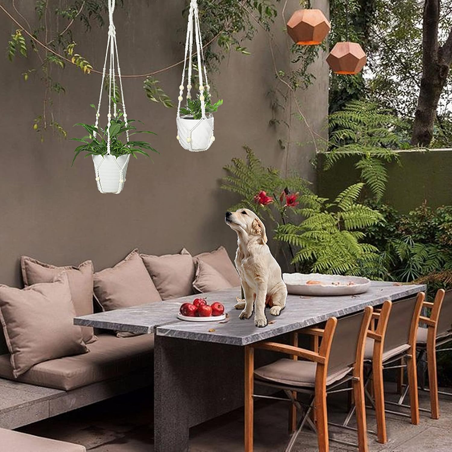 4 Packs Macrame Plant Hangers, YZOYOCK Hanging Planters Indoor Outdoor Home Decor, Handmade Hanging Plant Holder 8 Hooks, SZ Ivory04