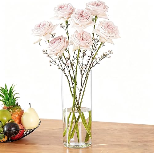 Tall Elegant Clear Acrylic Cylinder Vase Sturdy for Fresh Flower Displays Perfect Home Decor for Living Room Tabletops(14.2x40cm(5.6x16in))