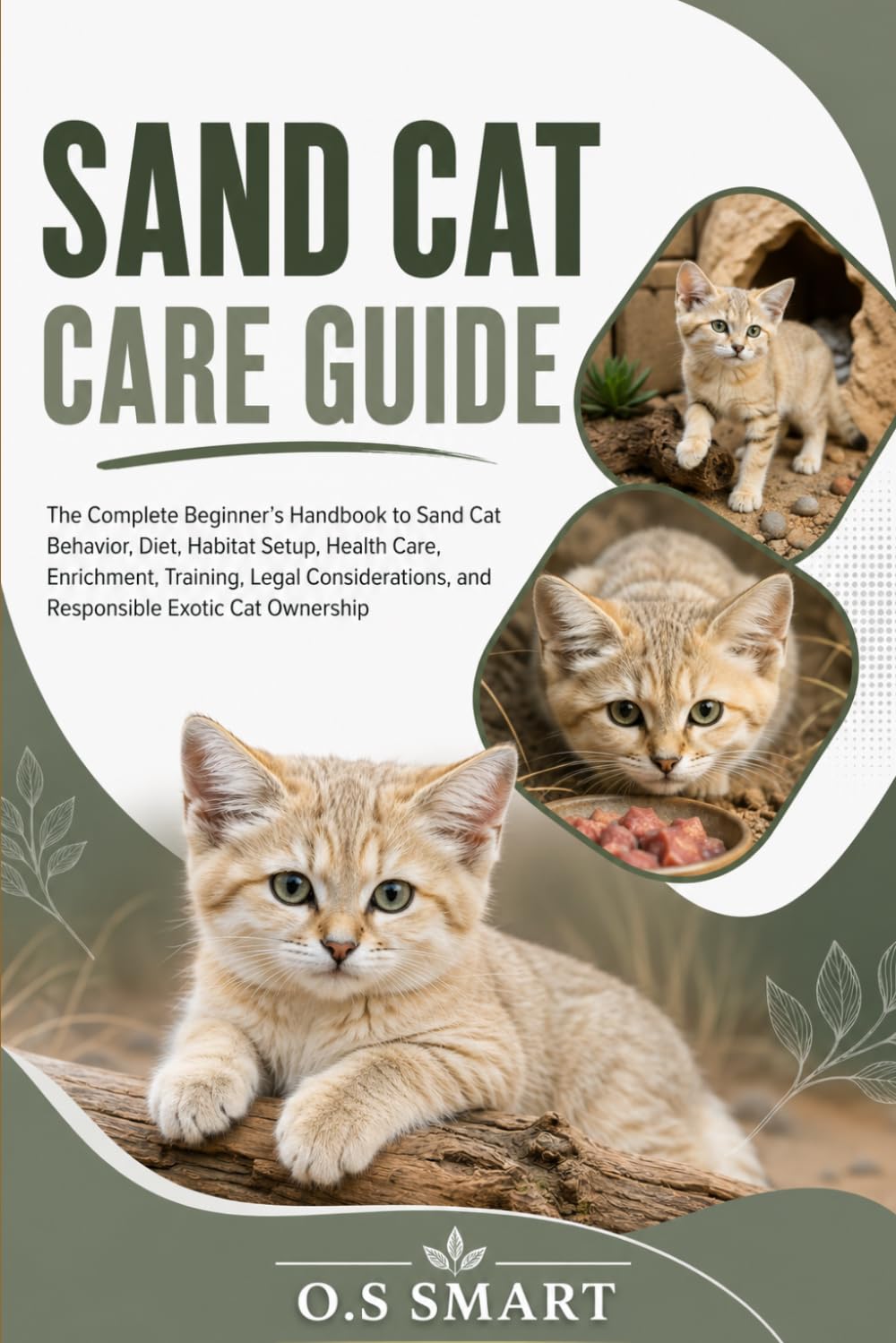 Sand Cat Care Guide: The Complete Beginner’s Handbook to Sand Cat Behavior, Diet, Habitat Setup, Health Care, Enrichment, Training, Legal Considerations, and Responsible Exotic Cat Ownership