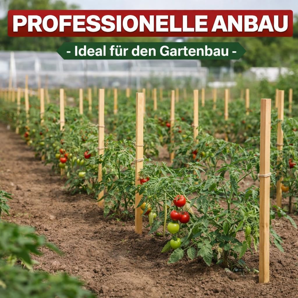 Quadratisch Pflanzstäbe Länge 80 cmSet 50 Stück Buchenholz Holzpflock Gartenstütze Für Pflanzen Bäume Tomaten Holzpfähle Holz Zaunpfosten Garten