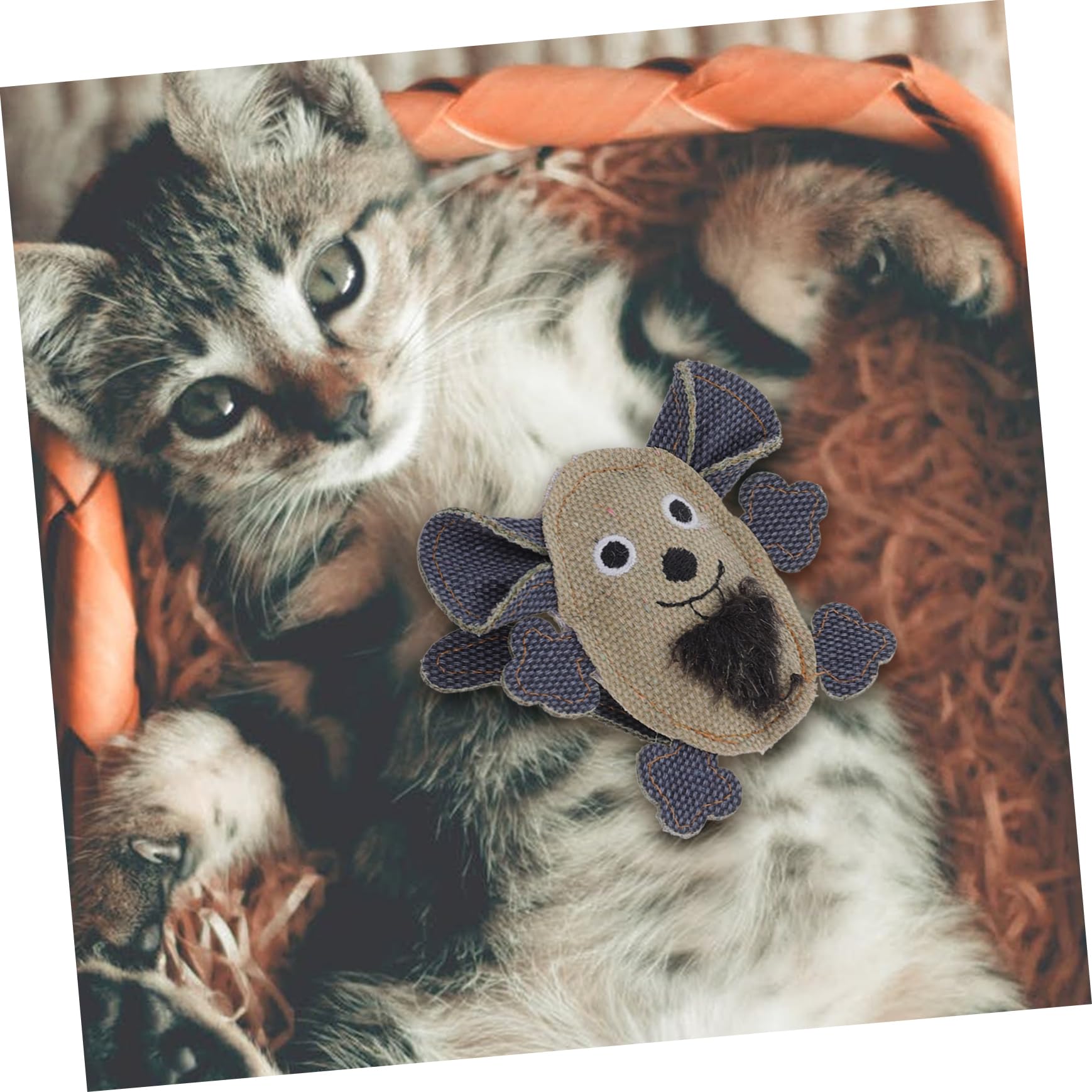 ABOOFAN Lot De 5 Jouets pour Chats Souris Interactives À Mâcher Et À Faire De Dentition 2 Pièces X 5