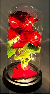 Enchanted Rose in Glass Dome with Lights, Red Silk Flower, Christmas Birthday Mother's Day (Black Base)