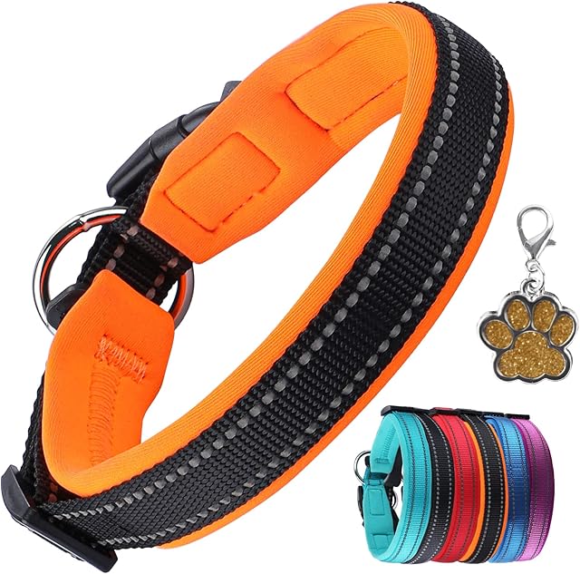 Padded Dog Collar with Tag Reflective Dog Collars for Small Medium Large Dogs Soft Neoprene Adjustable Basic Dog Collars Puppy Pets Collar with Quick Release Buckle, Orange S