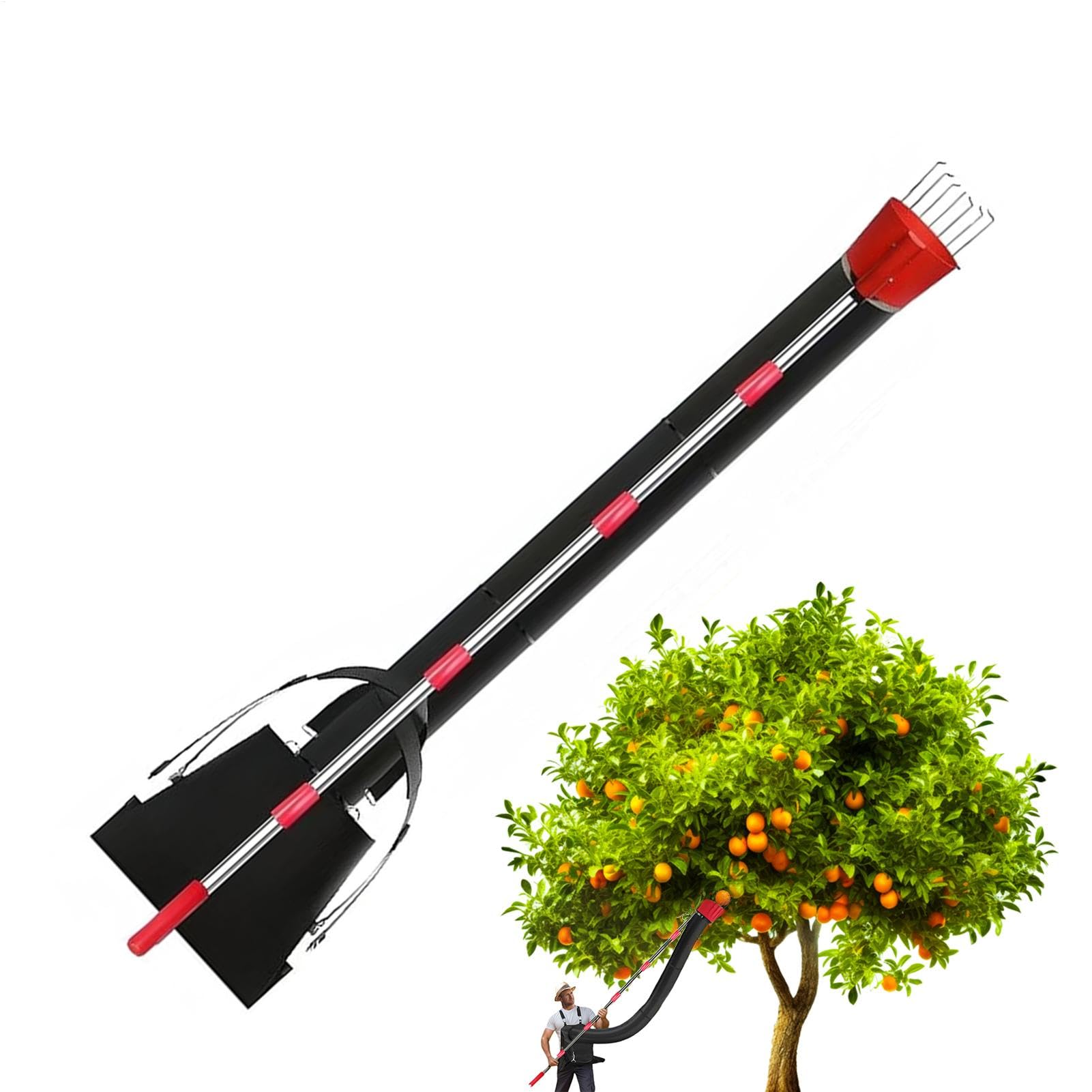 Cueilleur de Fruits Professionnel, cueilleur d'arbres fruitiers Cueilleur