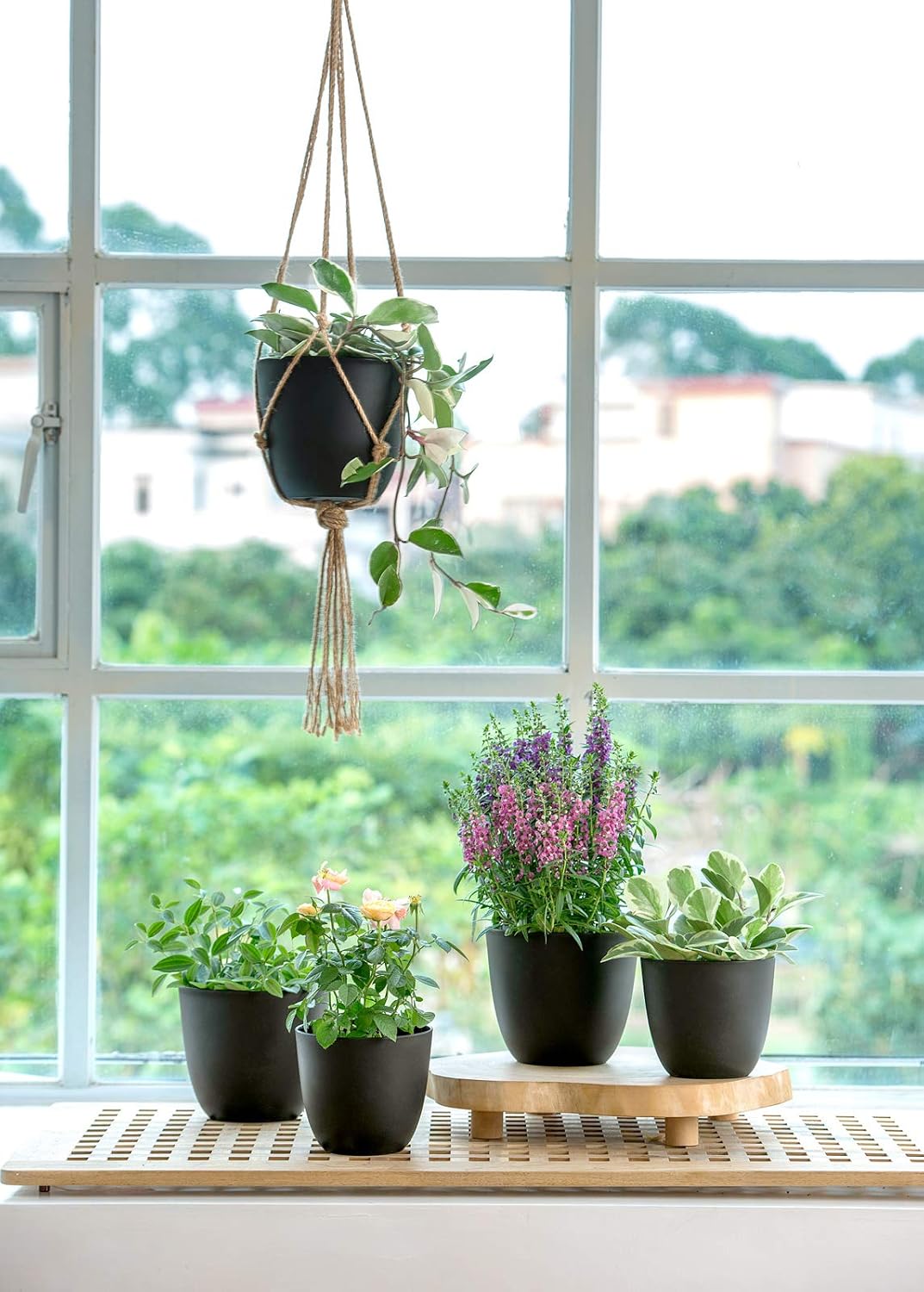 Mkono 6.5" Plastic Plant Pots for Plants with Saucers, Indoor Set of 5 Plastic Planters Modern Flower Pot with Drainage Hole for All House Plants, Herbs, Flowers, and Seeding Nursery, Black : Patio, Lawn & Garden