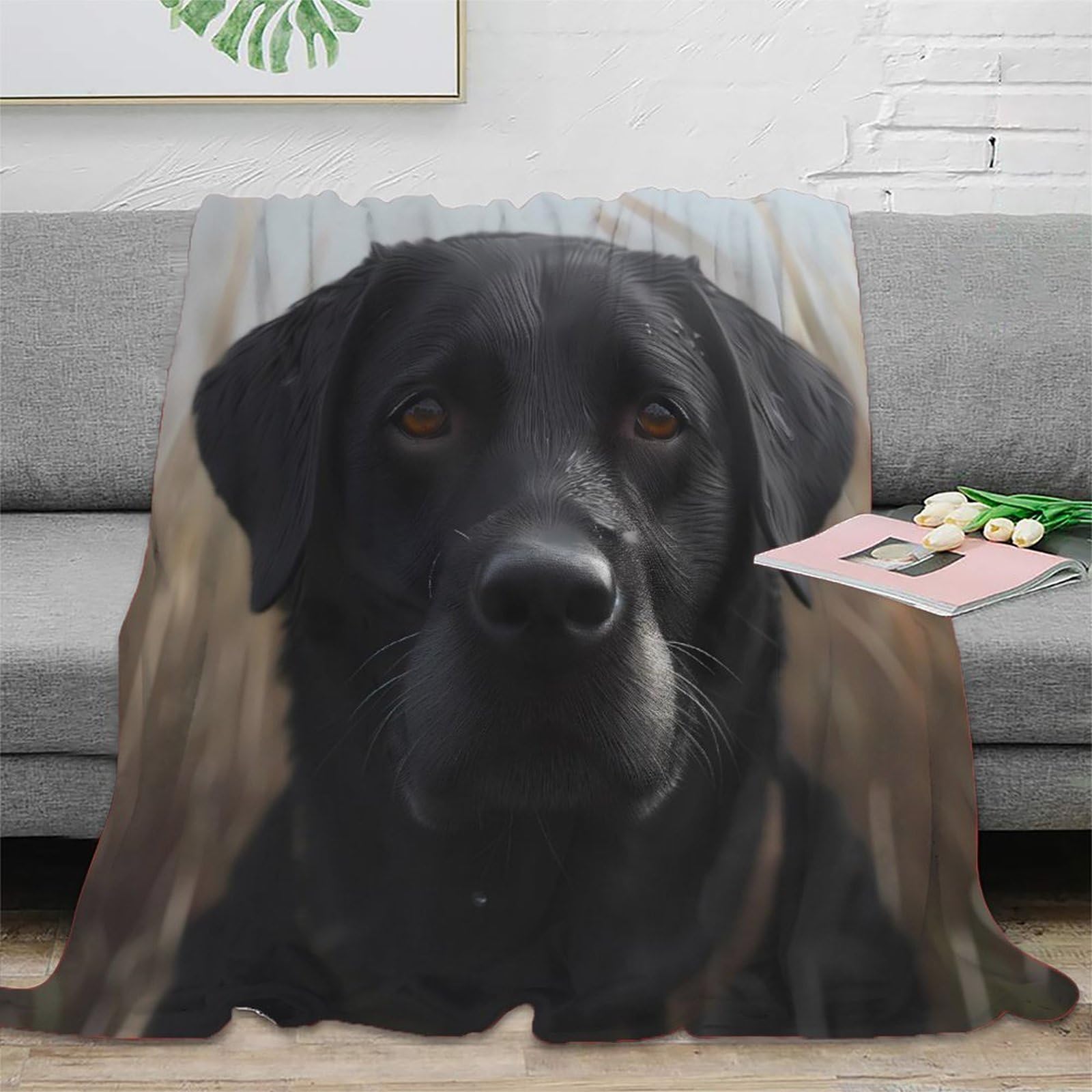 Couverture lit chien noir plaid canapé salon pour famille