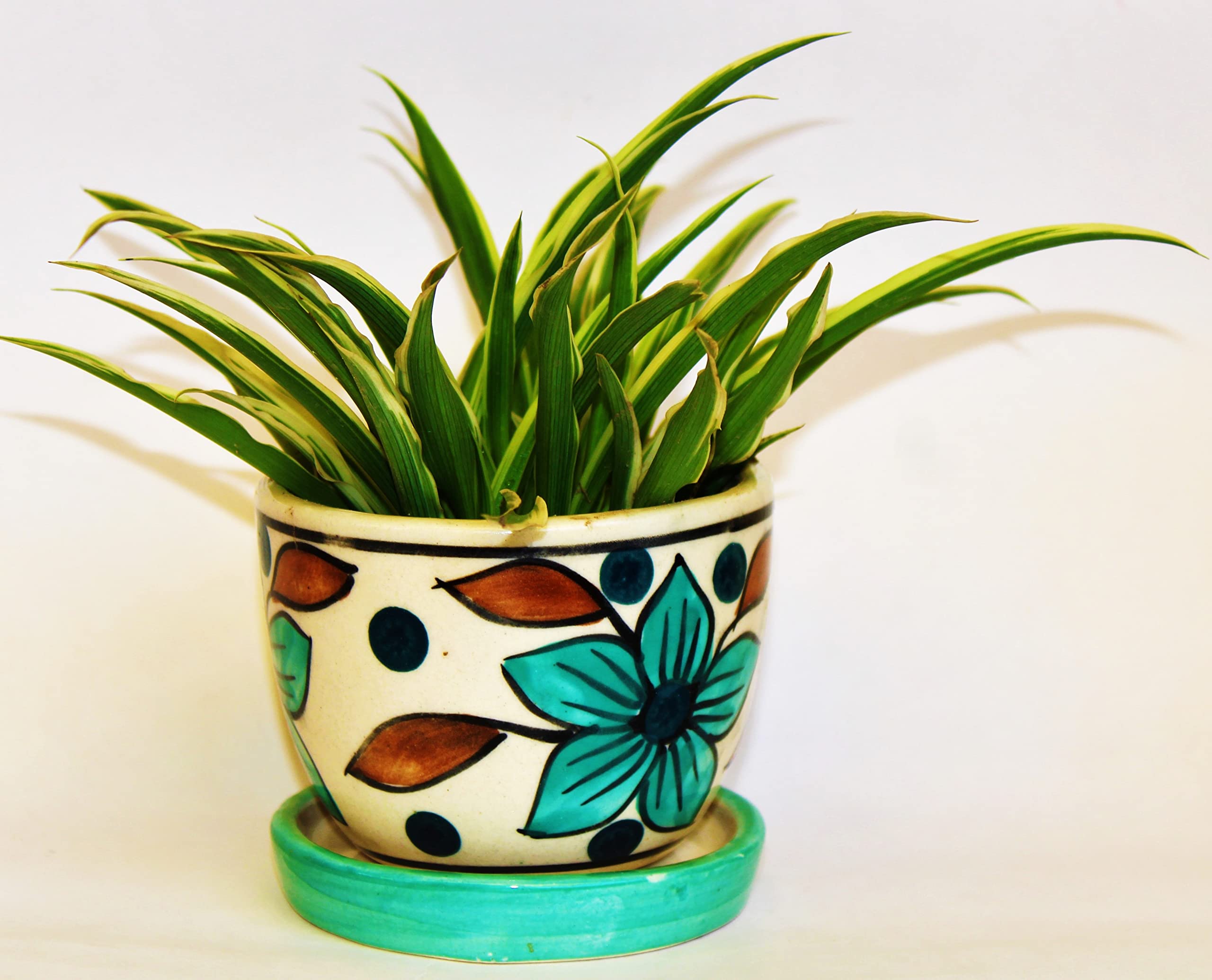 See full amazon price history chart for BERRYCRAVE Ceramics Small Planter Pot in Base Plate Indoor Gamla for Plants Flower Herb Bonsai Cacti Succulent Handmade Size 8 x 9.5 x 9.0 Cms Weight 400 GMS (Green) BERRYCRAVE Ceramics Small Planter Pot in Base Plate Indoor Gamla for Plants Flower Herb Bonsai Cacti Succulent Handmade Size 8 x 9.5 x 9.0 Cms Weight 400 GMS (Green) (B0C5419B9R) Amazon Price History, Amazon Price Tracker