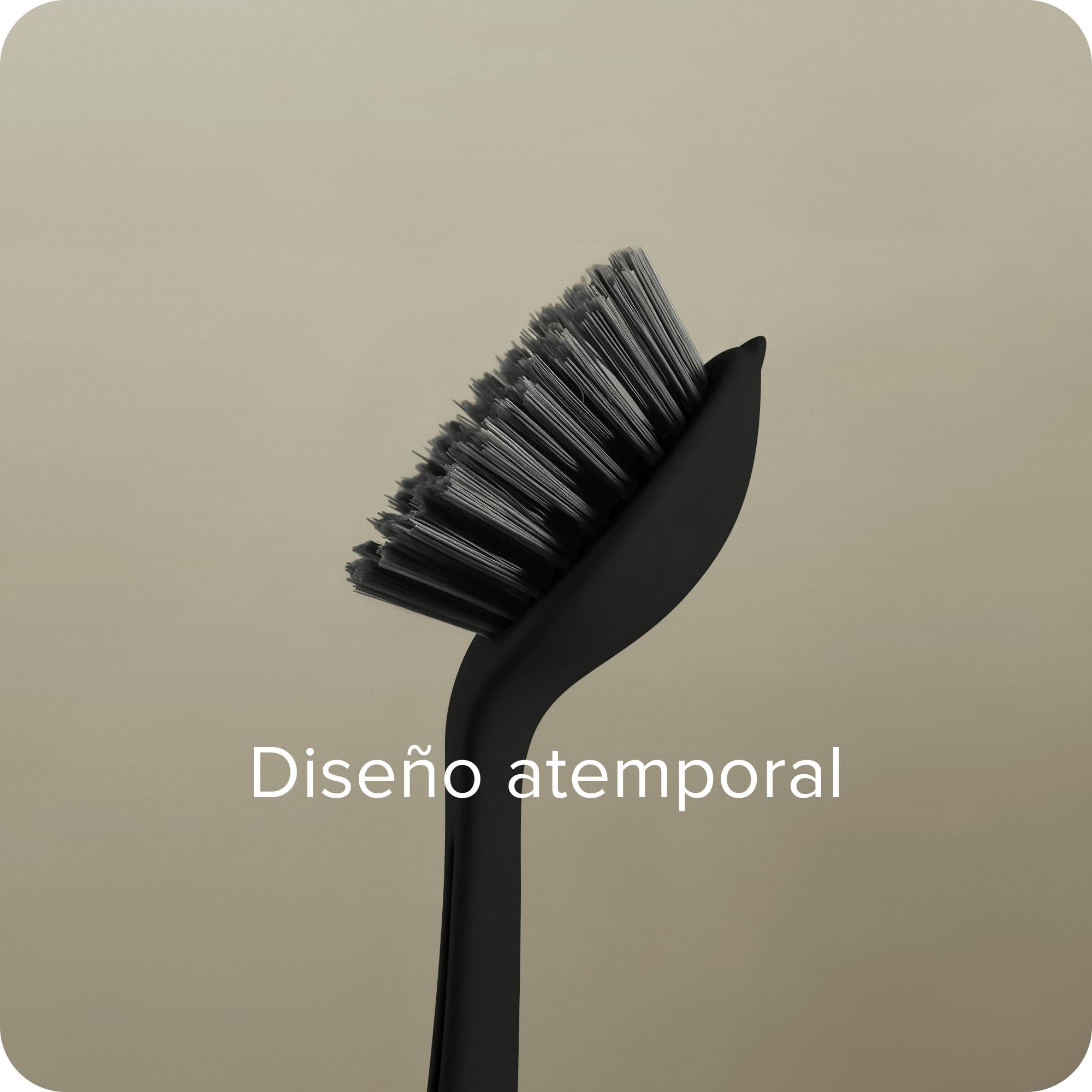 Cepillo Cocina Set de 2 Antibacteria Cerdas Duras Negro
