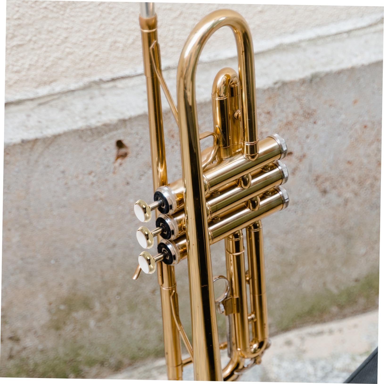TOYANDONA 2pièces Accessoires Trompette Boutons Piston Avec Couvercle Pression Pratique Et Pour Instruments à Vent