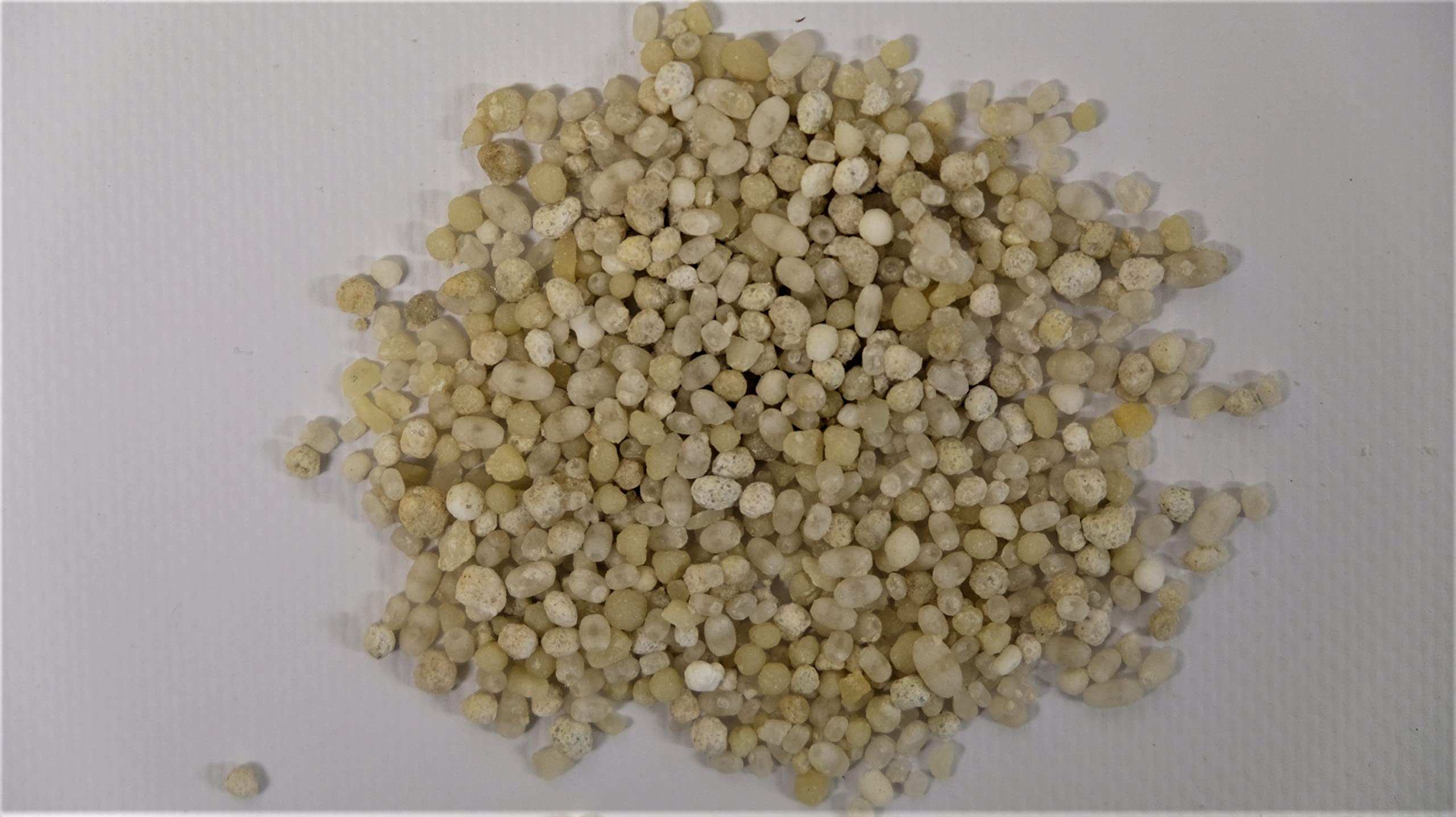 TURBO Rasendünger mit 15% Stickstoff, Universal Rasen - Dünger für Frühjahr, Sommer, Herbst, für schnelles sattes Grün (30 kg (2 x 15 kg))