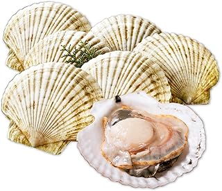 北海道野付産 活ホタテ 3kg(10枚前後)