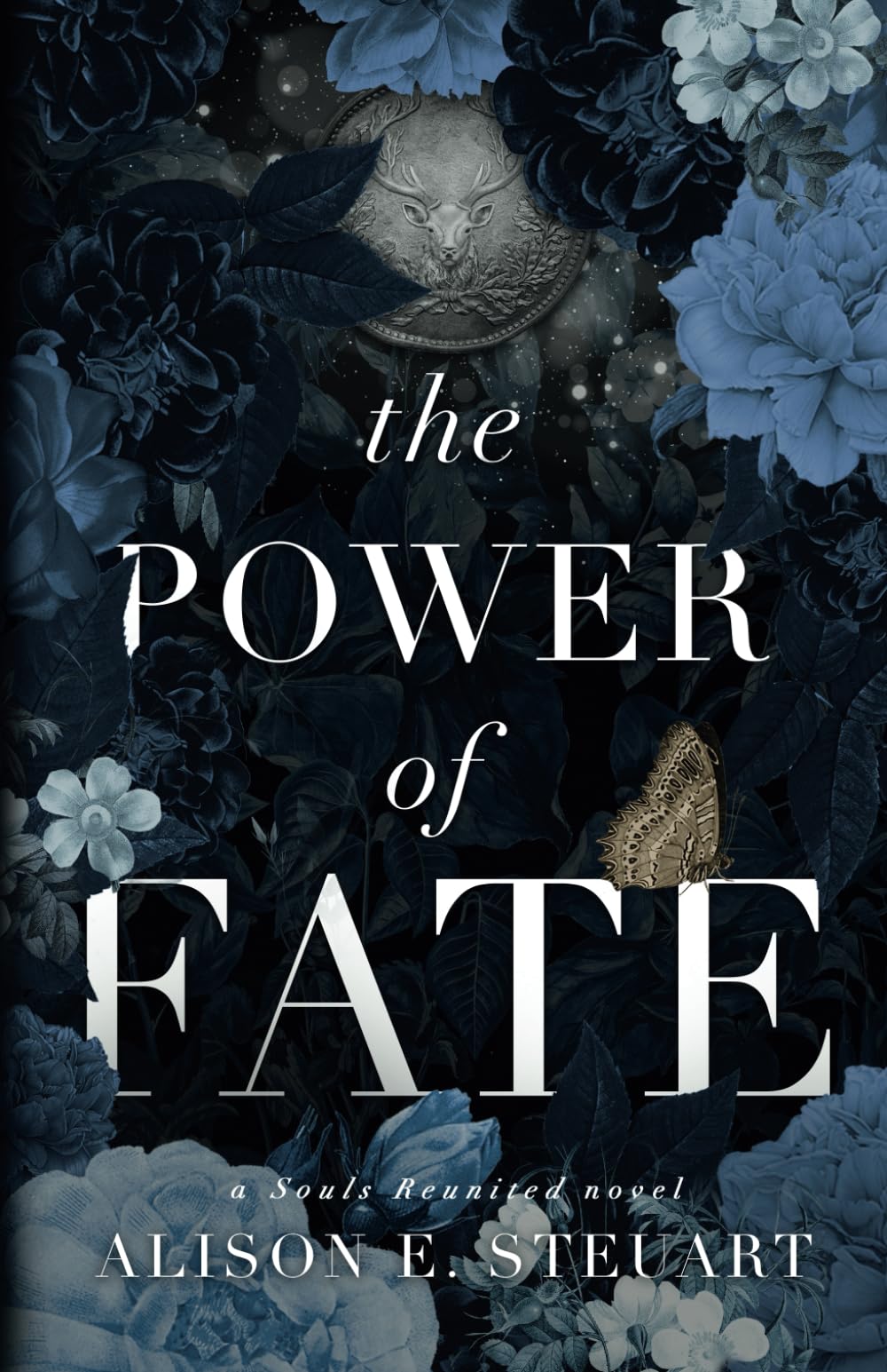 The Power of Fate: A Spicy Scottish Historical Romance (Souls Reunited Novel)