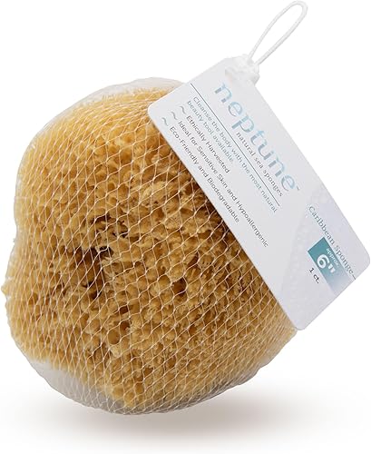 Miniatura 5 de Neptune Esponja natural del mar del Caribe - Esponja de mar renovable natural (6 pulgadas)