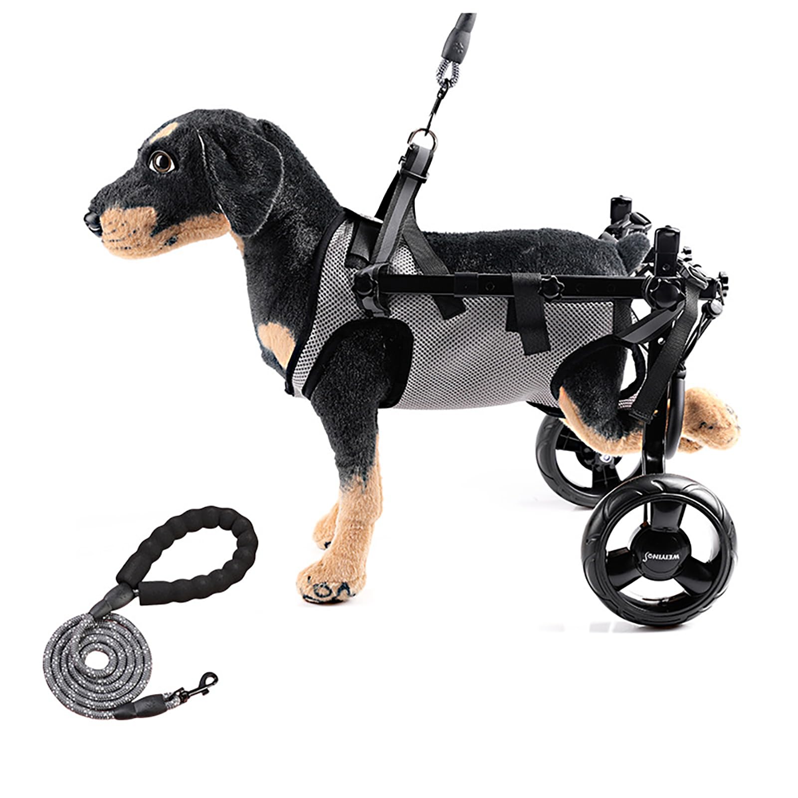 Silla de ruedas para mascotas con soporte ajustable para el tren trasero