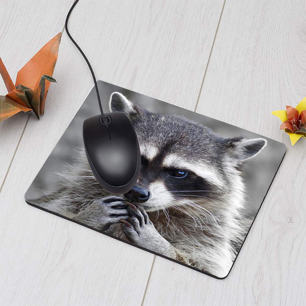 Amazon.com: Nicokee Raccoon Rectangle Gaming Mousepad Lovely