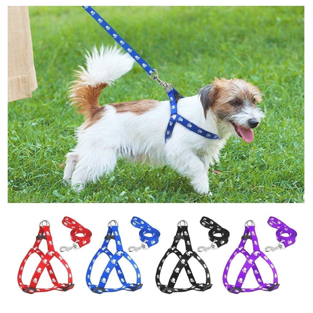 Petlicious & More 15 mm Paw Print Nylon Puppy Harness & Leash Set for Small & Medium Dogs (Color May Vary) (B07X8CZJSL) Amazon Price History, Amazon Price Tracker