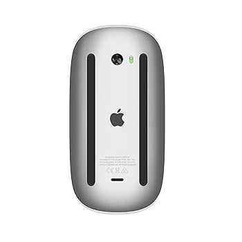 Amazon.in: Buy Apple Magic Mouse (for Bluetooth-Enabled Mac