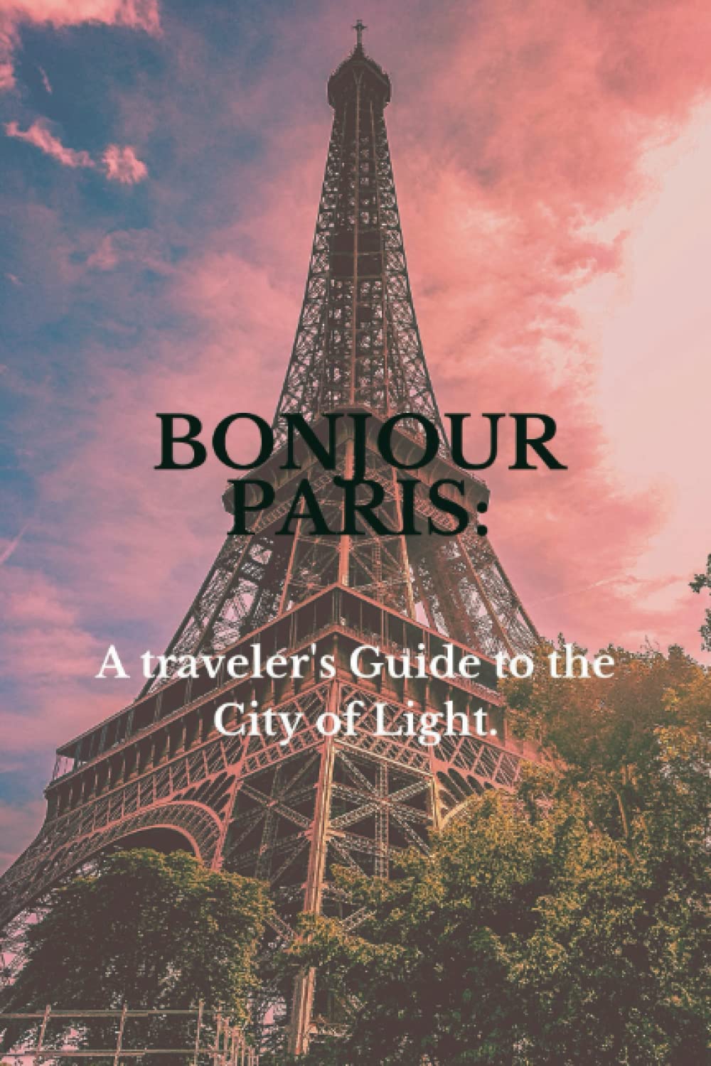 Bonjour Paris: A traveler's Guide to the City of Light.