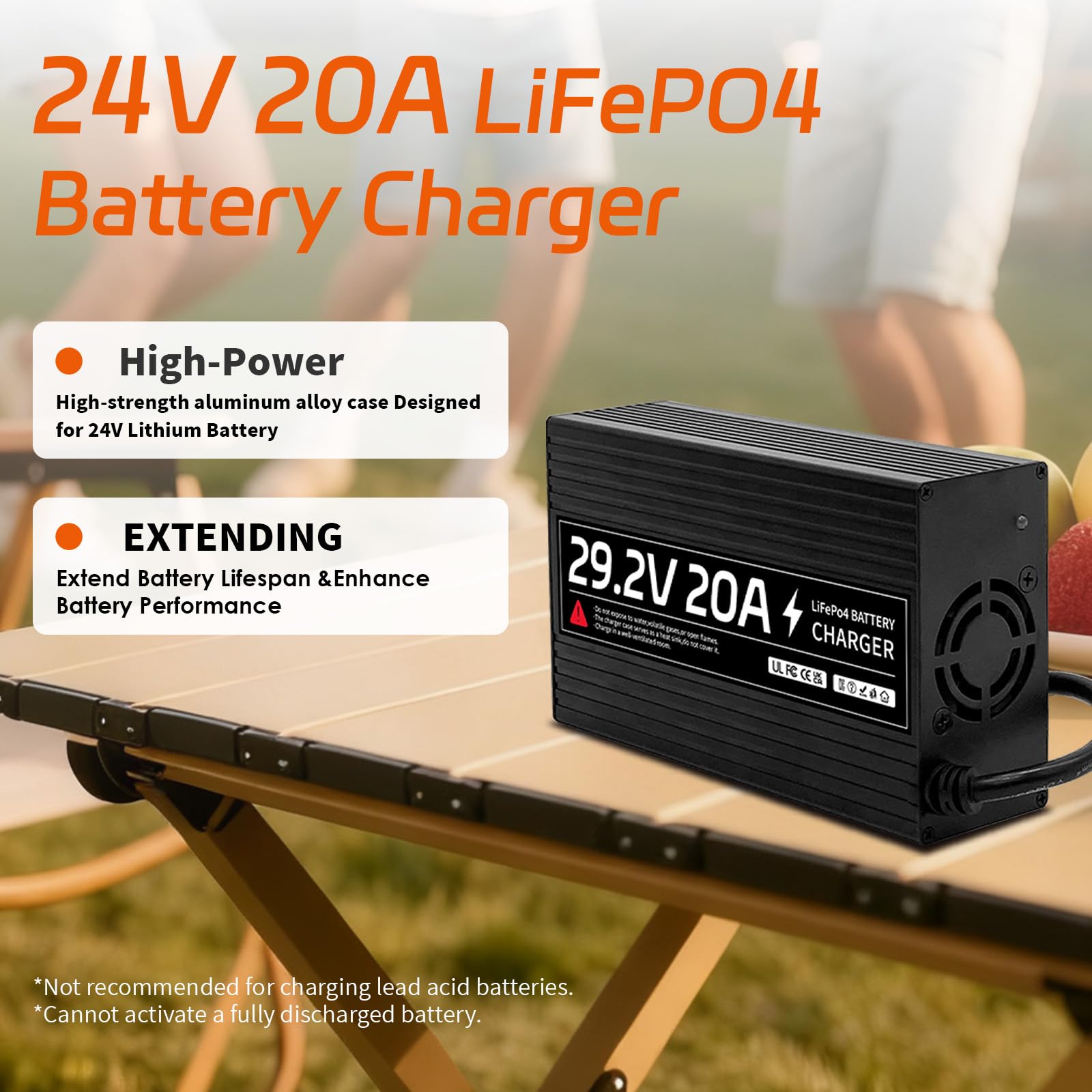 Caricabatterie LiFePO4 da 29,2 V, 20 A, caricatore per batteria al litio da 24 V, funzione precarica e ricarica 0 V, livelli di ricarica CC/CV, adatto per batteria LiFePO4 da 24 V con