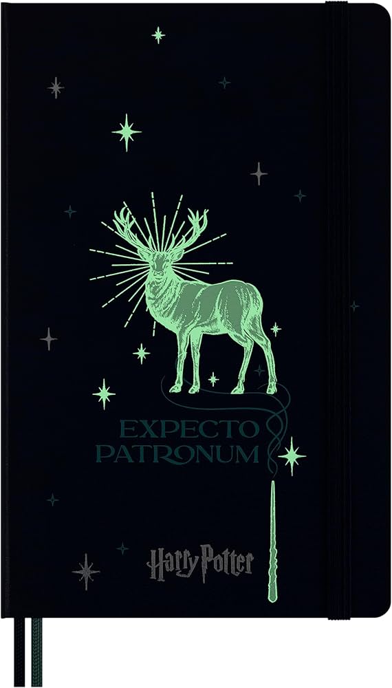 Amazon.co.jp: モレスキン ノート ハリーポッター エクスペクト