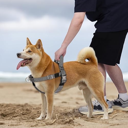 Miniatura 5 de Arnés para perro con asa para perros pequeños, medianos y grandes, ajustable y ligero, sin tirones, arnés de chaleco fácil para caminar (negro, L)