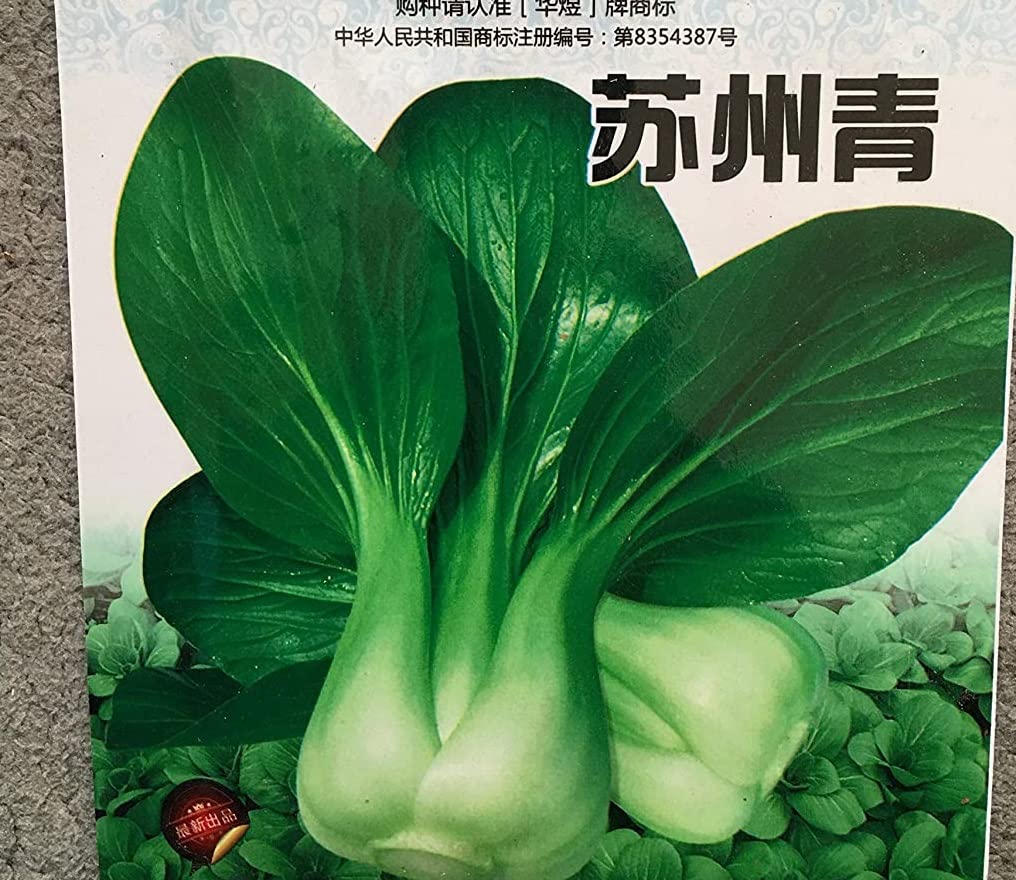VibeX Chinese Pak Choy, Shanghai Green, Chinese Vegetables Seeds-250 Seeds (B0B9Y18B8V) Amazon Price History, Amazon Price Tracker