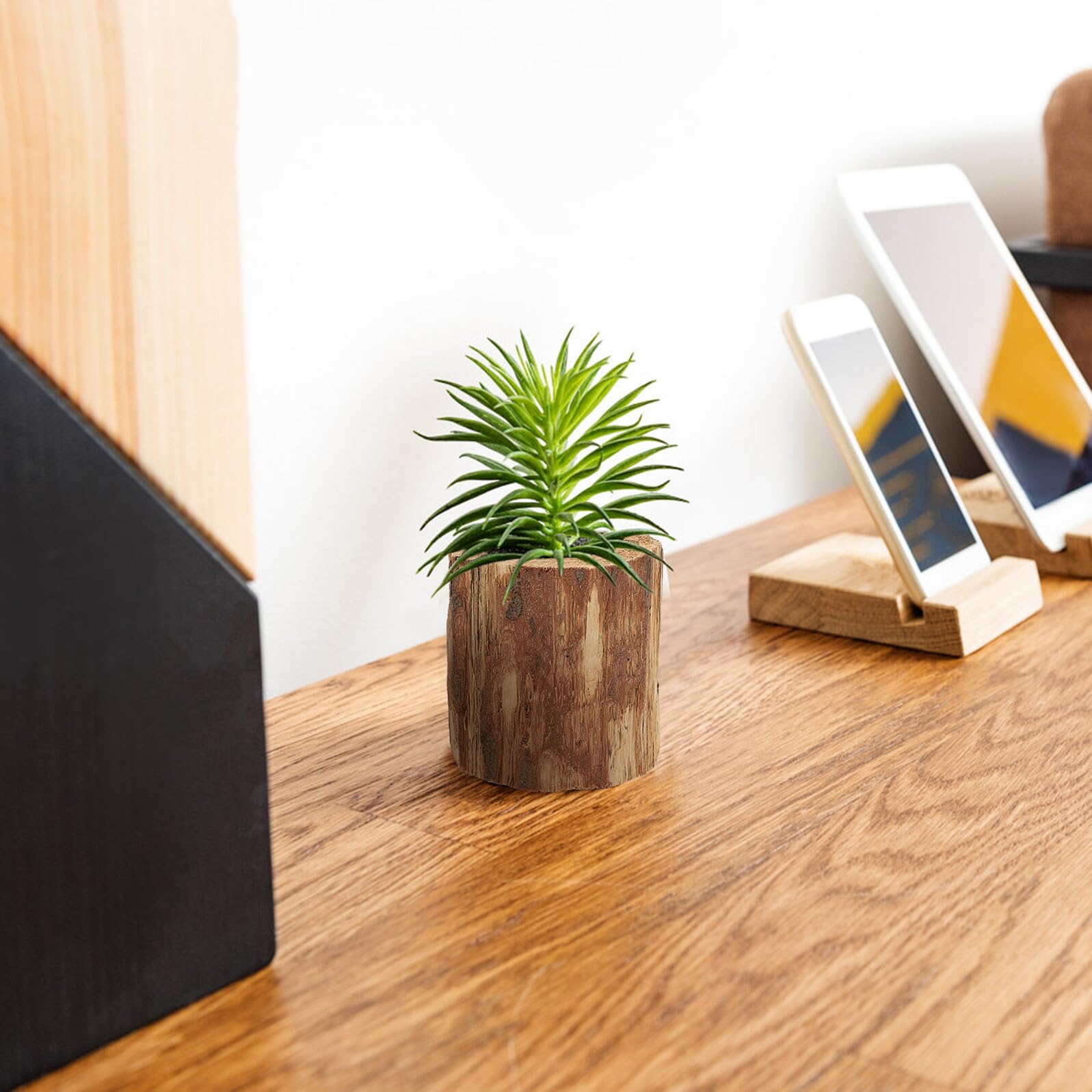 COLLBATH Sukkulenten Pflanzgefäß 2 Stück für Büro und Laden | Natürliches Stapel Design, Schlicht Praktisch, Dekorativ, Fördert Gesundes Wachstum von Sukkulenten