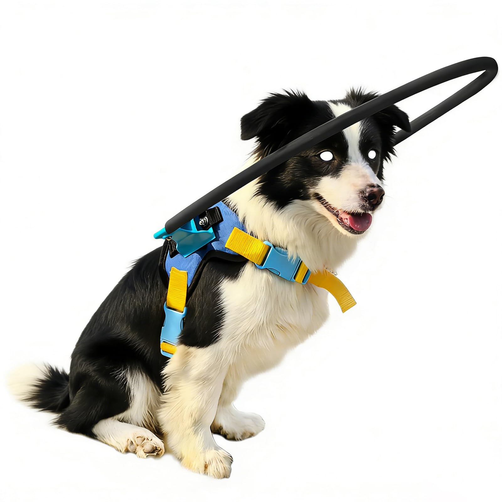 Pettorina per cani ciechi con alone, equipaggiamento di sicurezza anti-collisione per mobilità e sicurezza senza ostacoli, protezione per animali domestici ad alto comfort