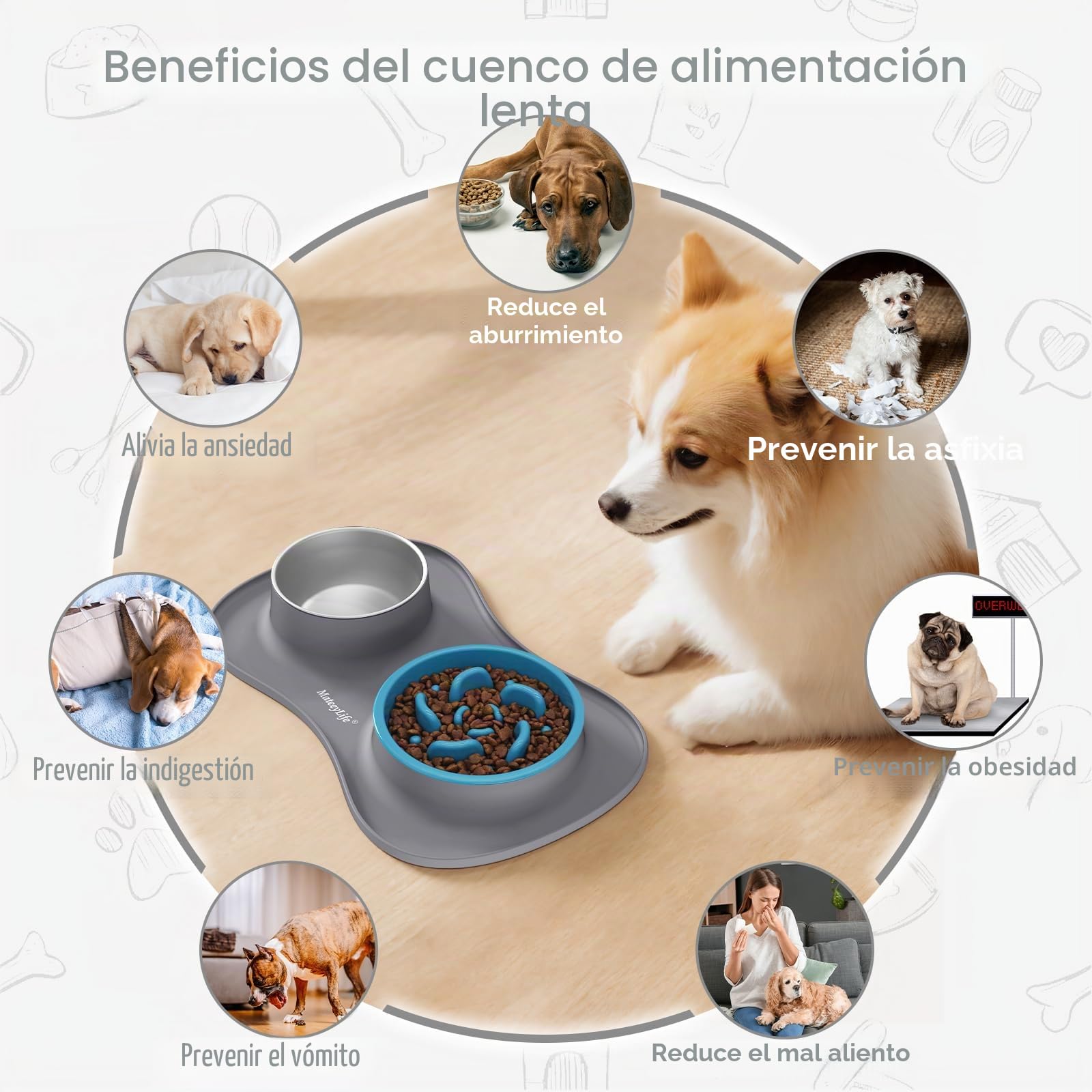 MateeyLife Juego de Boles para Perro 3 en 1, Comedero Antivoracidad Perro y Bebedero de Acero Inoxidable con Alfombrilla Antideslizante de Silicona, Cuencos para Perros de Todas Las Razas 43.7×25.9 cm