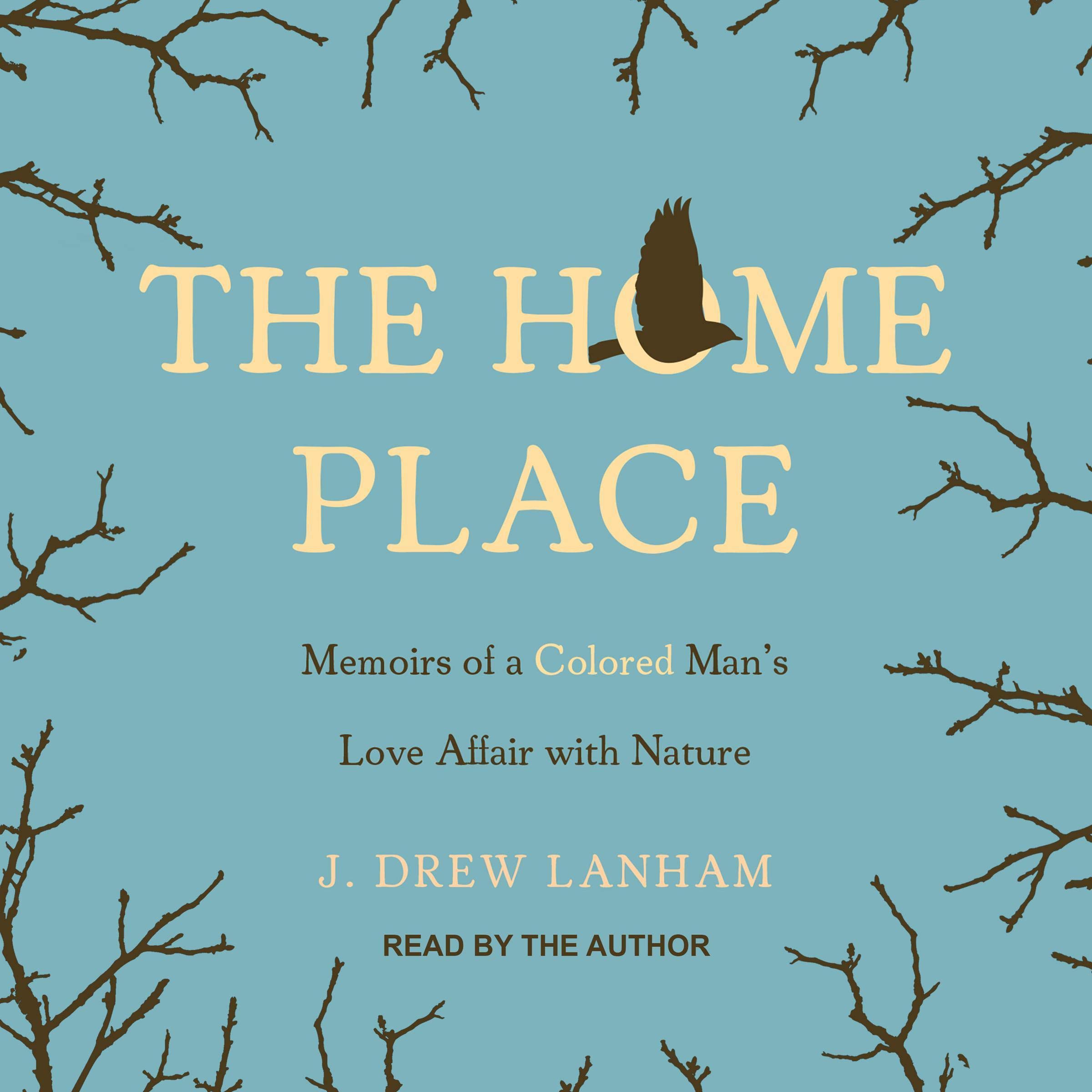 Cover art for The Home Place