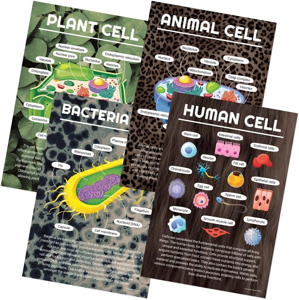 Quarterhouse 4 Poster Cells (Biology) Set, Science Classroom Learning Materials for K-12 Students and Teachers, 12 x 18 Inches, Made in USA